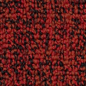 Multiplicity Tile